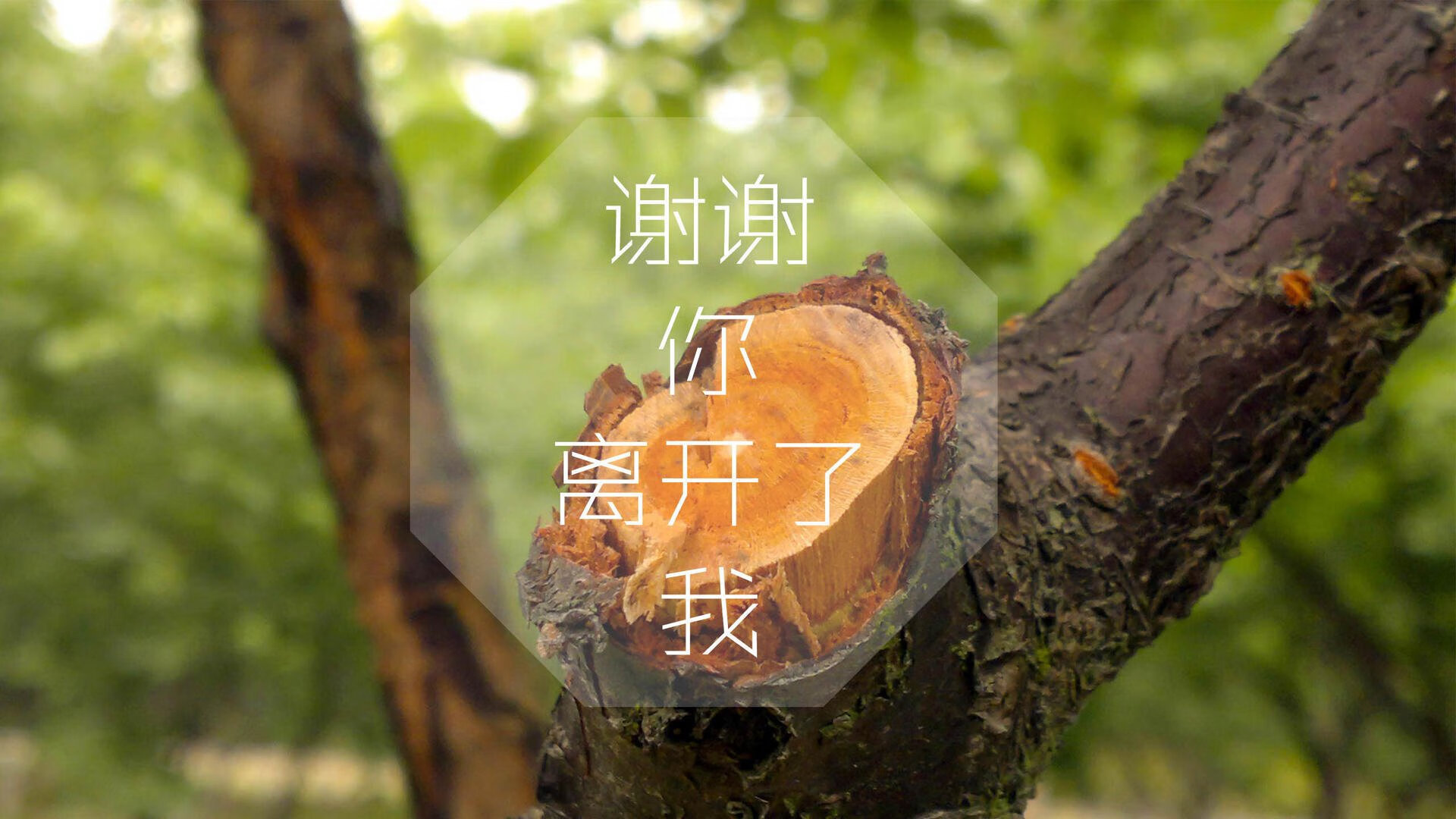 开云kaiyun-快船翻盘凯尔特人，西部决赛中乔治锁死对手，快船凯尔特人比赛视频