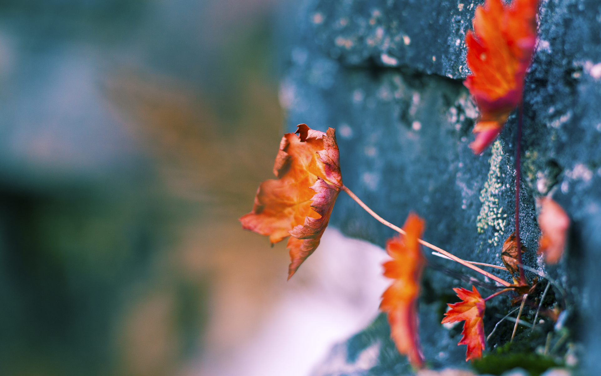 国际网球大师赛王欣瑜爆冷晋级八强，中国网球王欣瑜