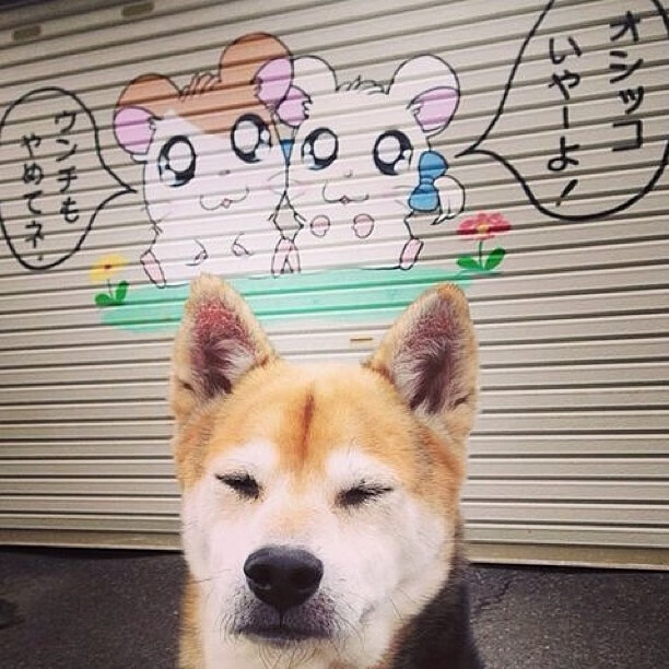 西甲技术派打法重新成为媒体关注焦点，西甲踢法