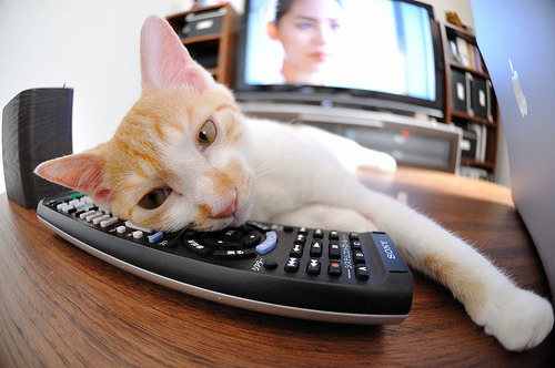 开云体育-CBA赛场展现体育精神 球员赛后互致敬意，cba的标语