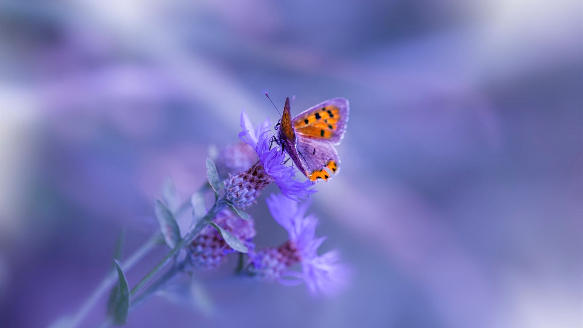 中国男篮球员展现良好职业态度 训练全情投入，中国男篮训练情况