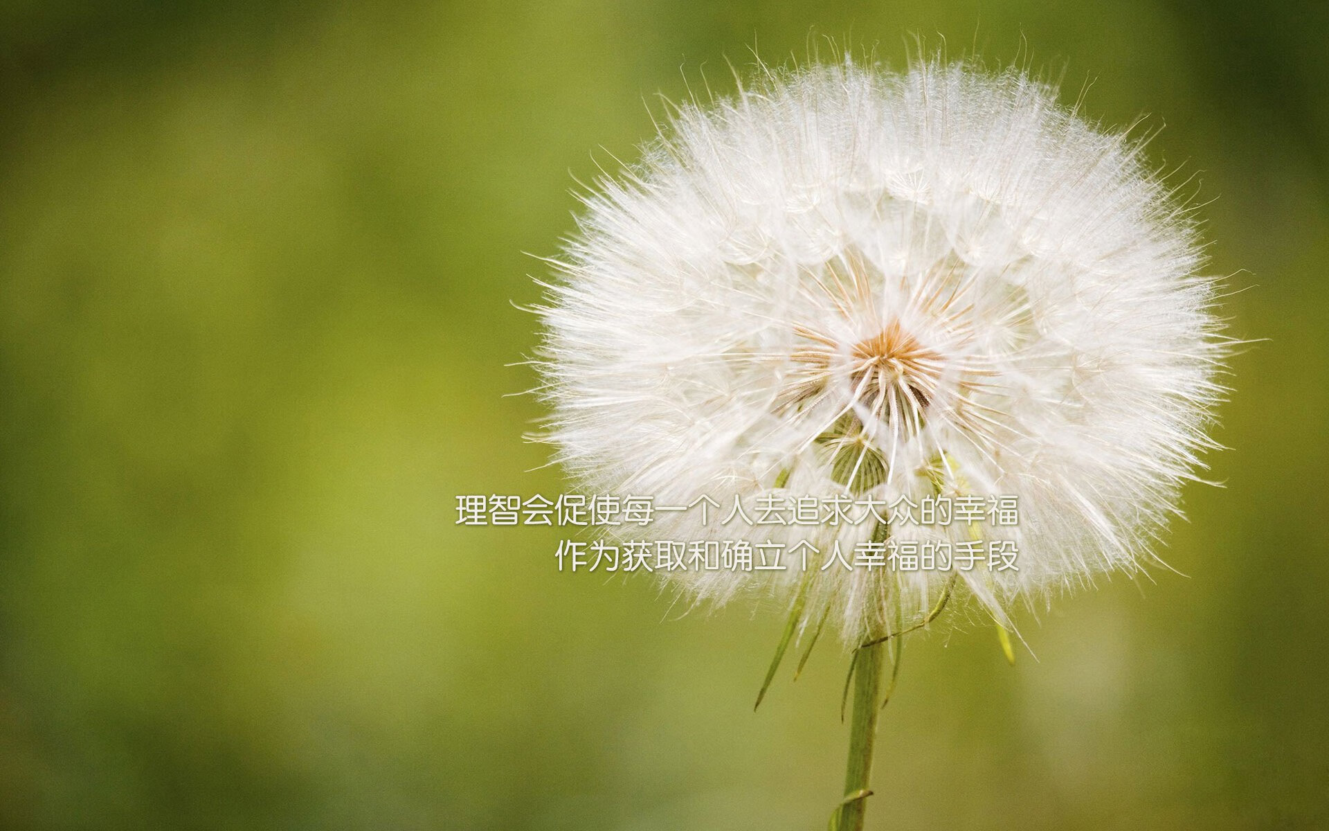 亚冠联赛中国女足逆袭 球员状态稳定发挥，中国女足本届亚运得分