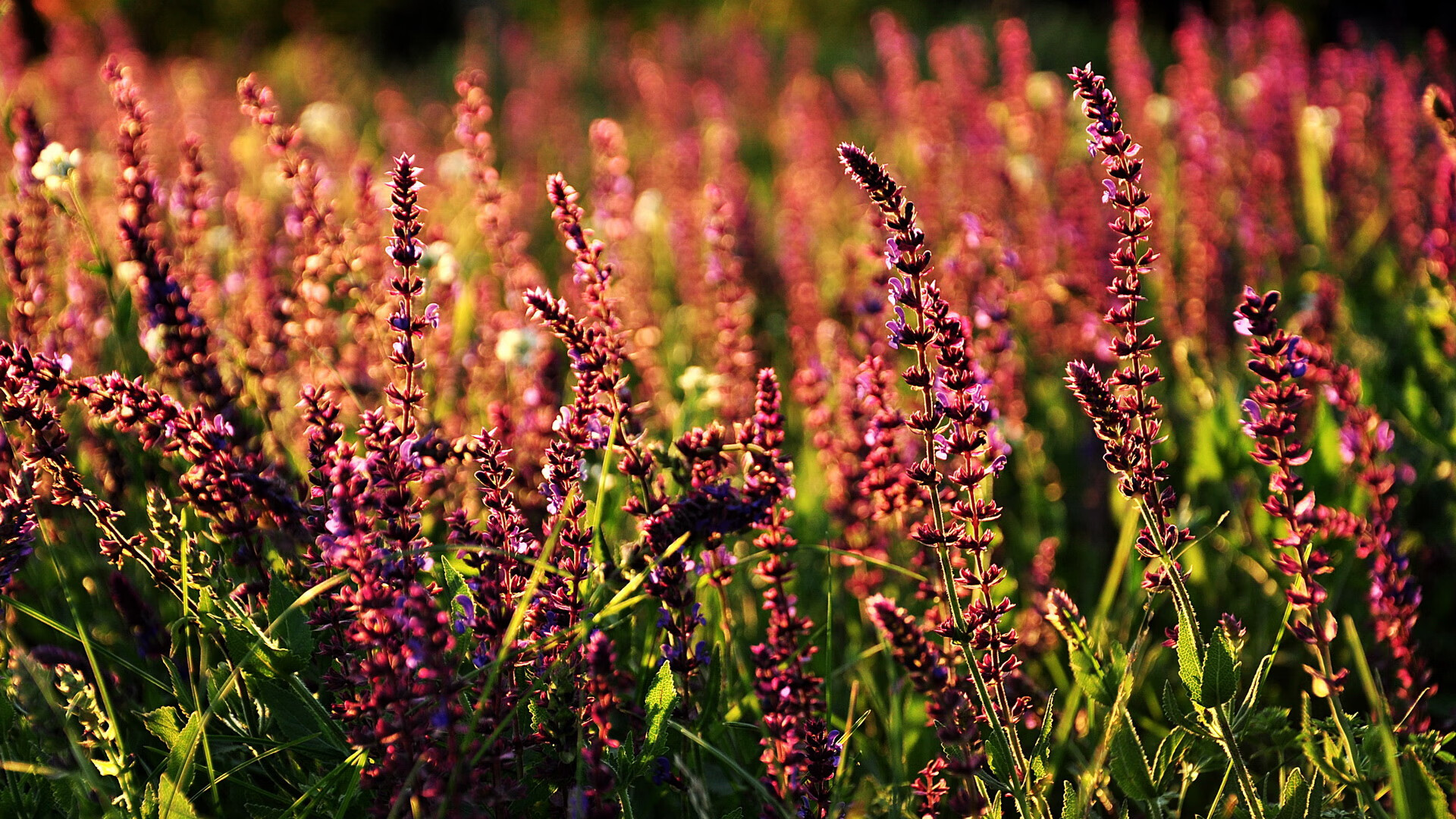 全国学生网球锦标赛开打青年组看点多，全国青少年网球巡回赛总决赛
