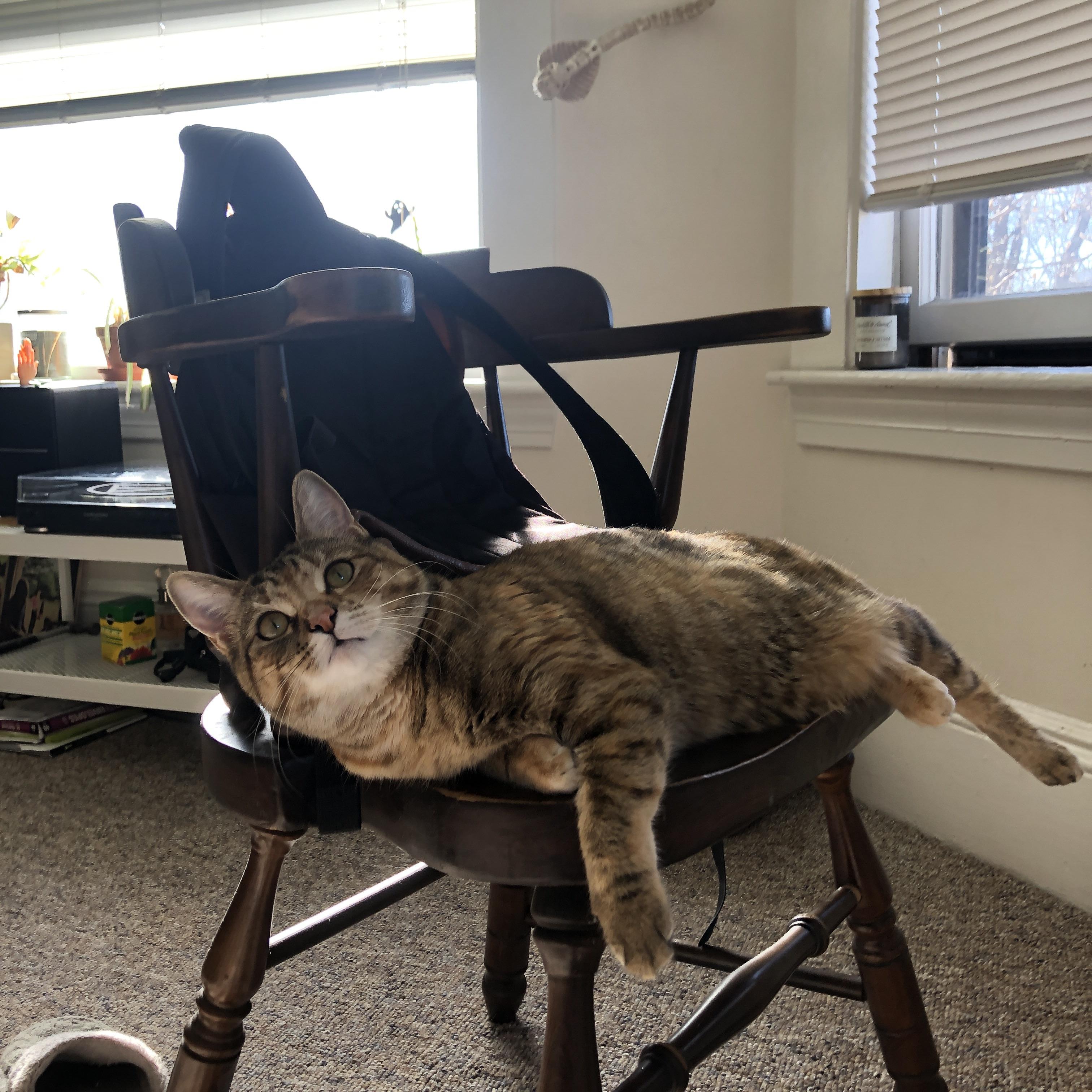 kaiyun登录入口-体育新闻中心深化体育视频版权管理合作，体育短视频成为平台和用户的新宠