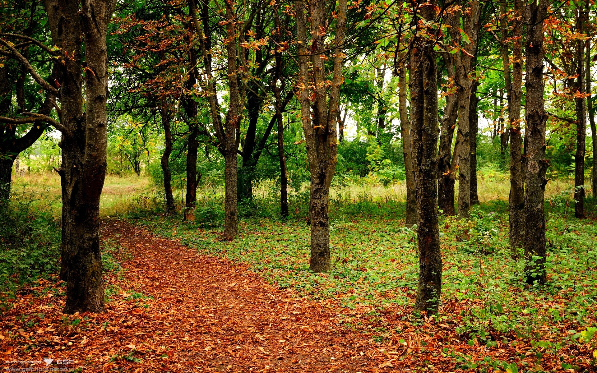 kaiyun登录入口-全运会场馆建设高标准完成，全运会场馆设置