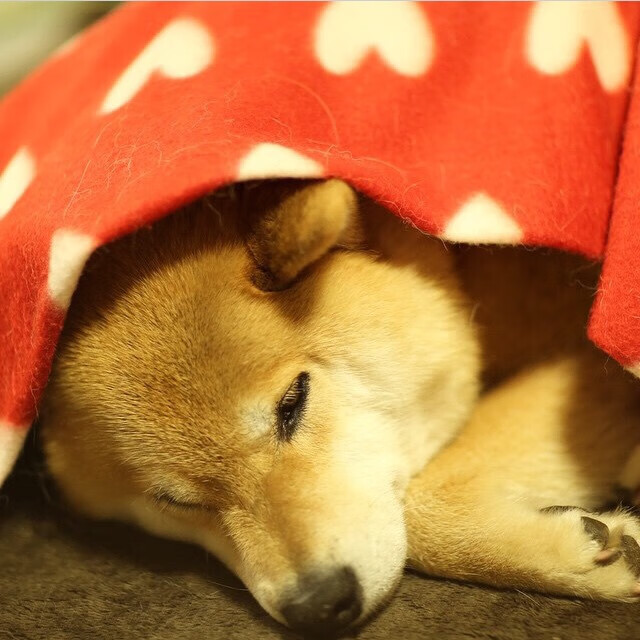 场上情绪管理是否是MVP球员的共性，场上情绪管理是否是mvp球员的共性之一