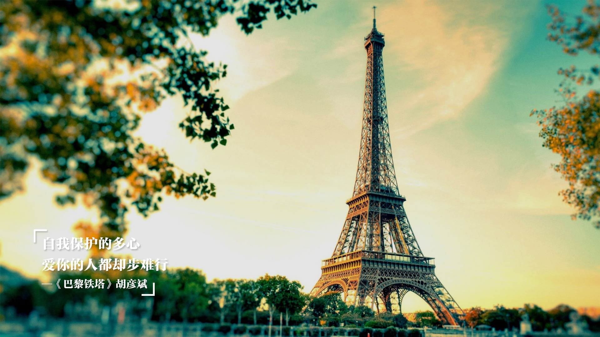 开云中国-澳大利亚队如何借未来的国际赛事获得更多锻炼机会，澳大利亚小组赛