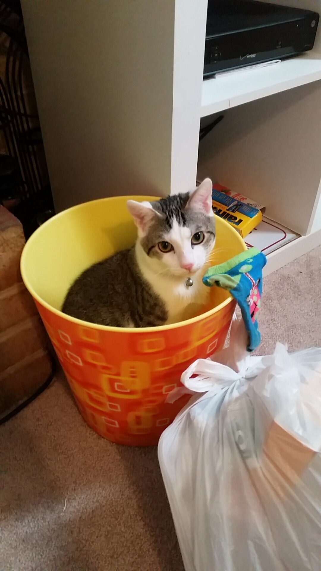 边锋传中选择是否因中锋风格影响落点策略，边锋和中锋哪个容易进球